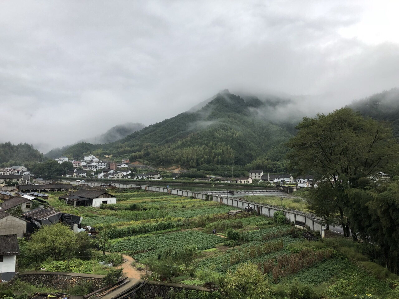 龙泉住龙景区景区天气预报