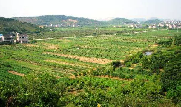 黄湾尖山村图片