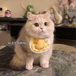 Cat Collar, Kitten Bib, Pet Bib, Small Dog Drool Bib, Cute Bib, Cat Bib, Drool Bib