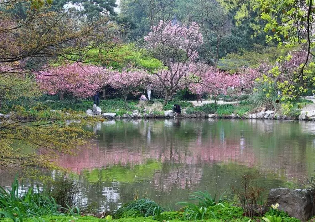 花港公园图片