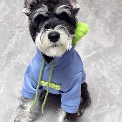 Sweatshirts, trendy autumn and winter clothes, corgi dog clothes, raincoats