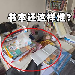 Bookend Desktop Organizer for Books, Storage Solution for High School Students and Children, Bookshelf, Storage Rack, Bathtub Storage Rack