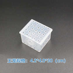 Queen bee cage device queen bee cage device controlled storage plastic box bee cage king intermediary king honey storage device