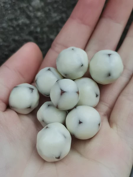 枣乐趣旗舰店:9.9元! 枣乐趣网红酸奶山楂球巧克力豆儿童山楂零食休闲食品山楂丁袋装-3