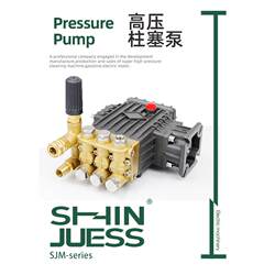 Gasoline and Diesel Engine High-Pressure Plunger Pump, Spray Water Pump, Car Wash Machine Booster Pump, Corrosion-Resistant Reciprocating Gasoline High-Pressure Pump