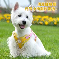 Pet Anti-Lost Collar, High-Quality Dog Collar, Anti-Shock Dog Leash, New Wear-Resistant Outdoor Dog Leash