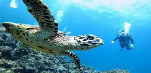 海洋水族馆图片