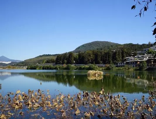 野鸭湖图片