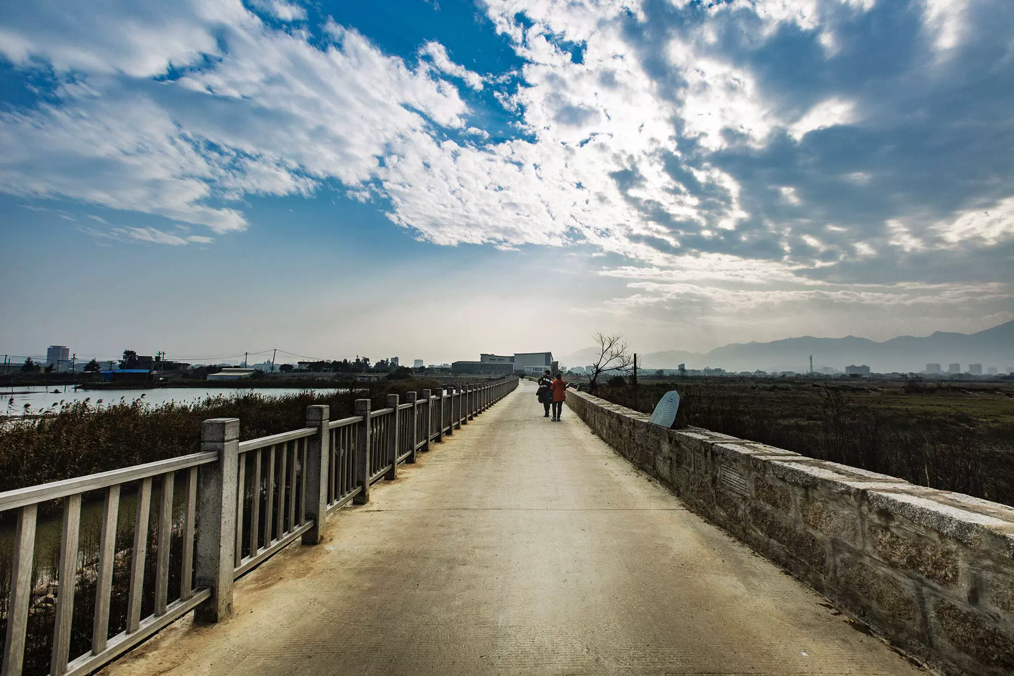 闽江河口国家湿地公园图片