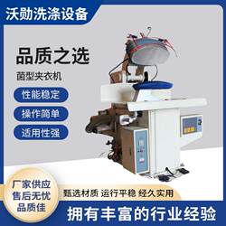 Fully Automatic Garment Ironing Machine for Laundry Shops, Universal Ironing Machine for Clothing and Garments, in Stock