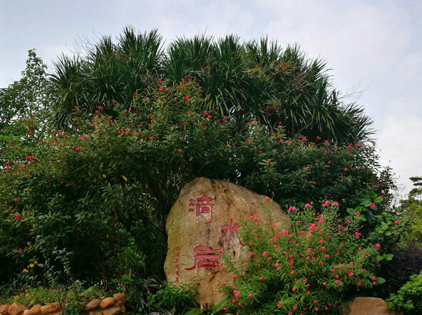 滴水岩景区天气预报