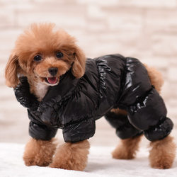 Manufacturer cross-border wholesale pet clothing raincoat