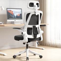 Office Computer Chair, Ergonomic Chair, Dormitory Gaming Chair, Youth Home Chair, Comfortable Sedentary Chair, Student Chair, Bedroom Chair