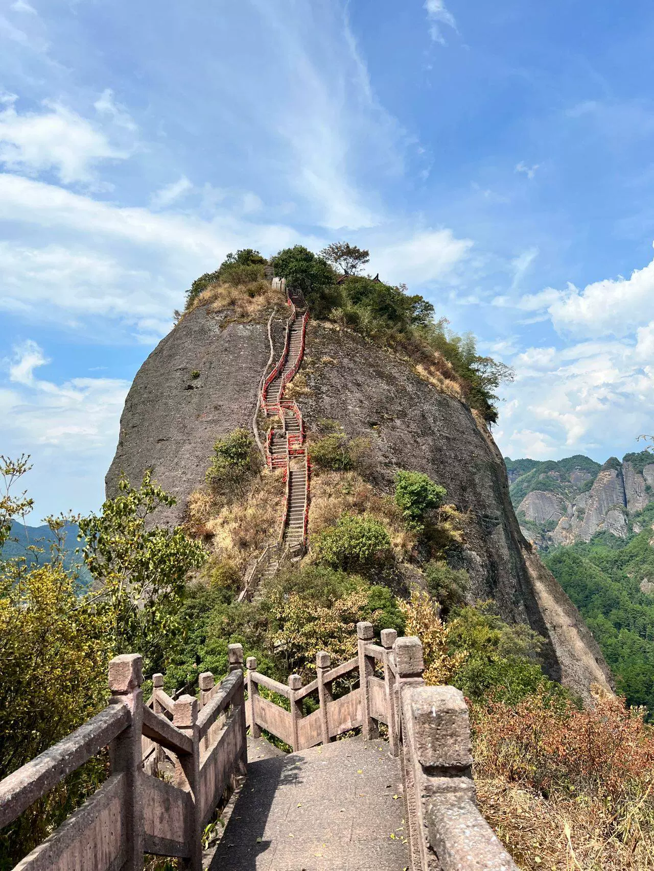 骆驼峰图片