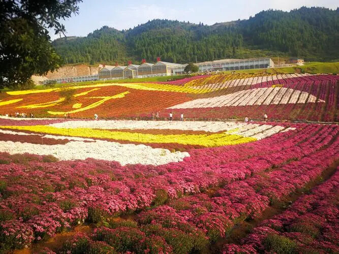 姚家峪生态旅游度假区景区天气预报