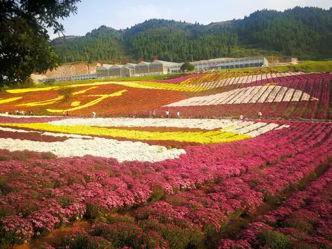 姚家峪生态旅游度假区图片