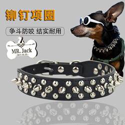 Dog Collar with Metal Anti-Bite Rivets, Suitable for Small and Medium-Sized Dogs, French Bulldogs, Pet Dog Leash