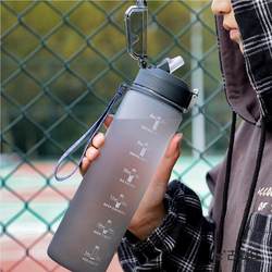 High-Temperature Resistant Frosted Sports Water Bottle for Men, Large Capacity, Stylish Student Straw Water Bottle, Summer Outdoor Portable Cup