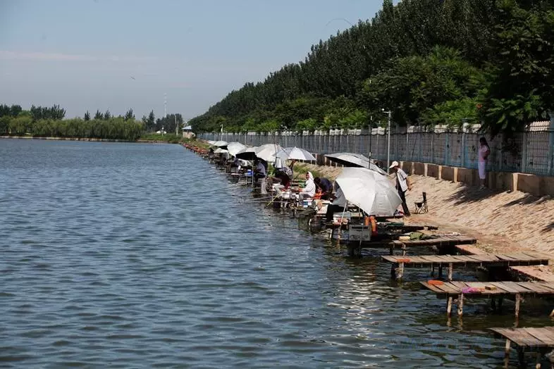 后蒲棒燕王(湖湿地生态园区)图片