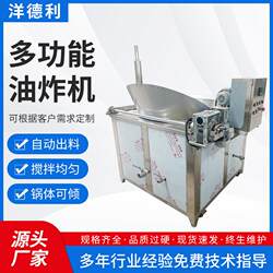 Manufacturer Supplies Frying Machines for Food Processing, Food-Grade Stainless Steel Frying Machines, Food Frying Machines
