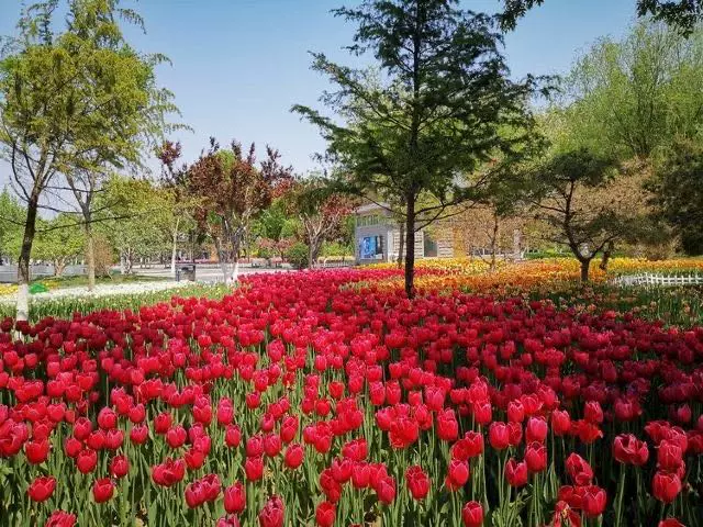 池州生态湿地公园图片