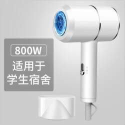 Hair Dryer for Hairdressers, High-Power, Silent, Negative Ion Hair Care, Home Use, Salon Version ①