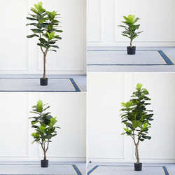 Picking of the Nordic tropical simulated plant fig leaf fig leaf fig leaf fig leaf fig leaf fig false pot
