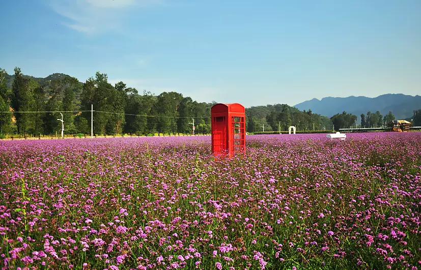 花溪庄园图片