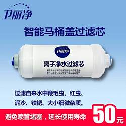 Weilijing Dedicated Smart Toilet Seat Filter Universal Heavy Metal Water Purification Filter 2/4 Port Filter Cartridge