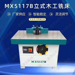 Woodworking Machinery Single-Axis Vertical Router Mx5117 Large-Axis Vertical Router Sliding Table Engraving Machine for Slotting and Edge Trimming