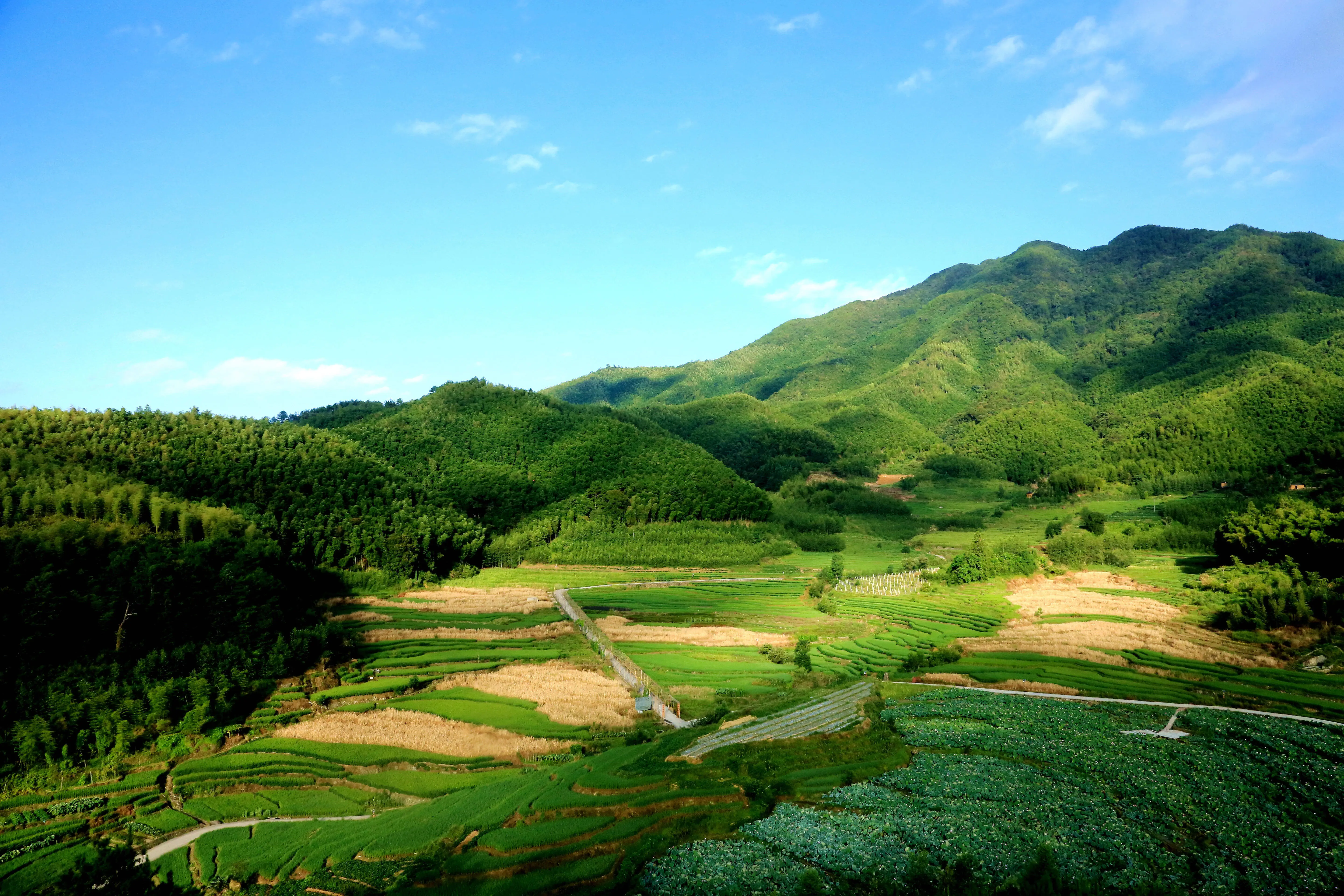 莲湖村景区图片