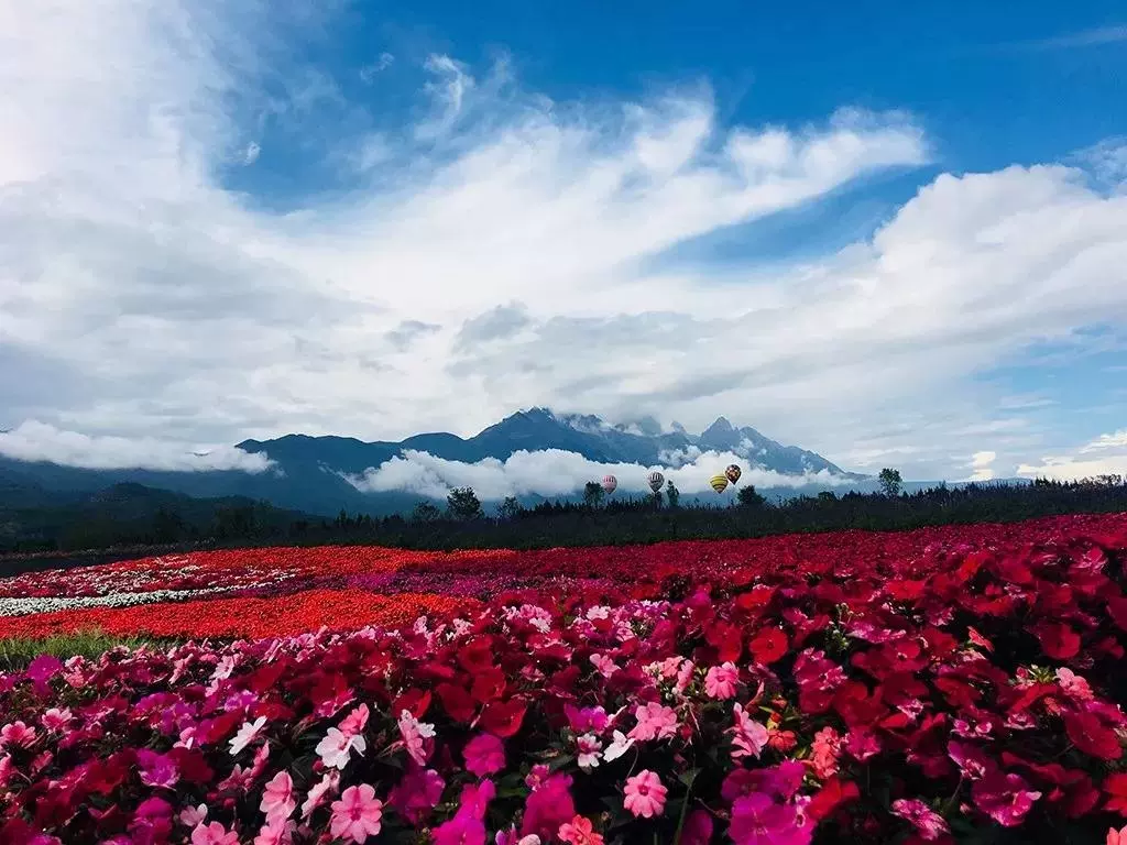 雪山花海乐园图片