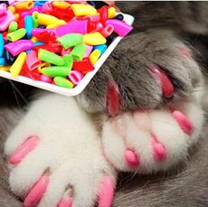 Антицарапки