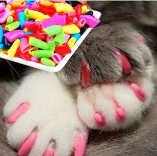 Pet Cat Cat Lord Set Teddy Dog's Dog's Nail Set American Nail Set Set Fang Catw Claws, мешок с 20 кусками клея