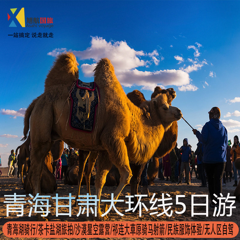 8人团【含门票】青海旅游5天4晚茶卡盐敦煌莫高窟拼车青甘大环线 - 定制游预订