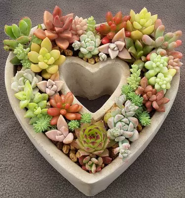 多肉植物花盆水泥爱心创意情人节礼物i Love You我爱你