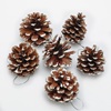 Hong kong heng christmas tree decoration supplies shooting props layout dress up pine cone logs sticky white snow christmas pine cones