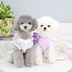 Pet Princess Dress Clothes Pet Dog Clothing Pull Ring I Clothing Spring New Sequined Butterfly Skirt