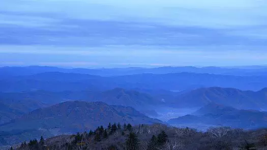 老秃顶自然保护区图片