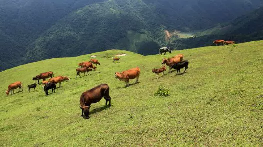 八排山图片