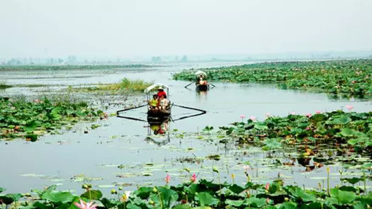 刁汊湖图片