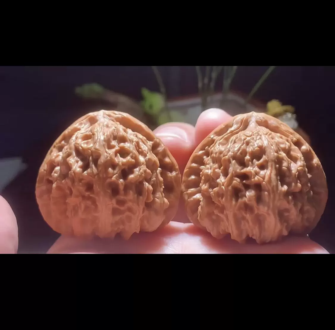 大粗筋狮子头 43尺 精品文玩核桃正奔异形43御龙粗筋三棱精配老