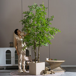 Simulated Green Plant, Large Elm Money Tree, Indoor High-End Atmosphere, Tropical Bionic Plant, Artificial Tree, Landscaping Decoration Ornaments