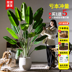 Artificial Green Plant Bird of Paradise Fake Flower Potted Plant Indoor Artificial Plant Traveler's Banana Decorative Landscaping Fake Tree Floor-Standing Ornament