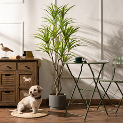 Internet-Famous Artificial Large Dragon Blood Tree, Millennium Wood Fake Potted Plant, Indoor Living Room Floor-Standing Plastic Green Plant Decoration Ornament