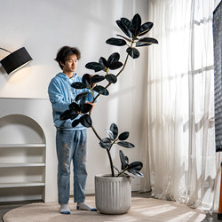 High-End Black Rubber Tree Artificial Green Plant Indoor Fake Tree Potted Plant Bionic Plant Landscape Decoration Ornament