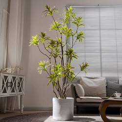 Simulated Green Plant Lily Bamboo High-End Artificial Tree Potted Plant Indoor Living Room Artificial Plant Floor-Standing Decoration Landscape Ornament