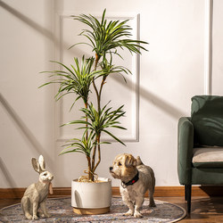 Trendy Artificial Multicolored Dragon Blood Tree Potted Plant for Living Room Plastic Flower Floor-Standing Plant Decoration Ornament