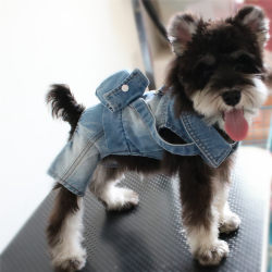 Cowboy Cat Dog Bichon Teddy Clothes