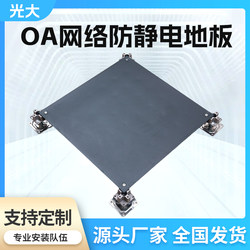 Oa Network Anti-Static Flooring Network Flooring Office Building Special Flooring Anti-Static Network Flooring Factory